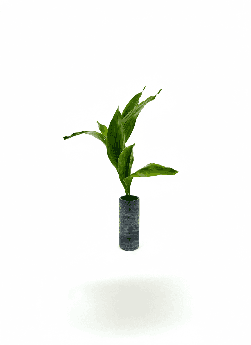 Shoka Shofutai Ishuike ikebana arrangement from 2025-05-31