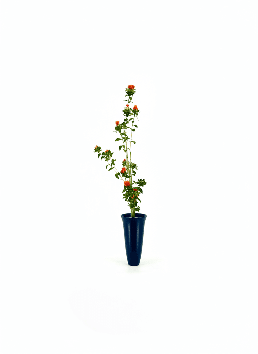 Shoka Shofutai Ishuike ikebana arrangement from 2025-06-20