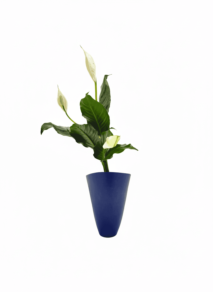 Shoka Shofutai Ishuike ikebana arrangement from 2025-06-07